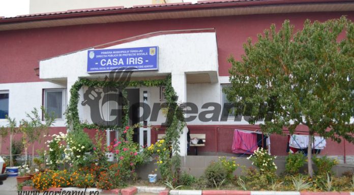 Meniu special de Crăciun şi Revelion pentru asistaţii de la Casa Iris