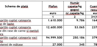 S-au aprobat cuantumurile pentru sprijinul cuplat în sectorul zootehnic (SCZ)!