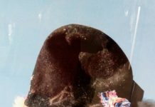 Teodor Dădălău expune la Tel Aviv