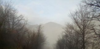 Repere hivernale – Defileul Jiului într-o zi de iarnă