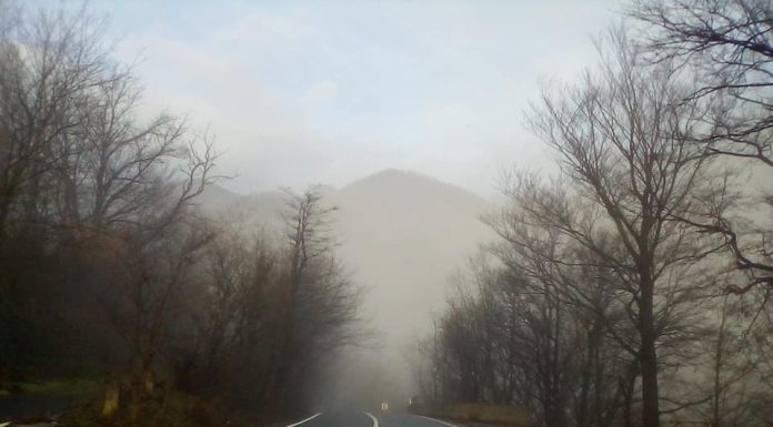 Repere hivernale – Defileul Jiului într-o zi de iarnă