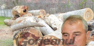 Primar nevoit să taie lemnele la şcoală!