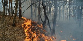 28 de incendii în pădurile din Gorj