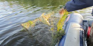 Doi bărbați din Rovinari, cercetați pentru că au pescuit ilegal