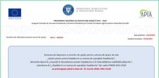 S-a prelungit perioada de depunere a cererilor pentru prima împădurire