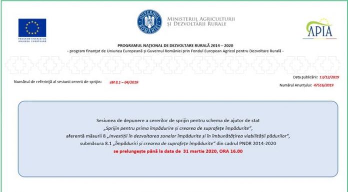 S-a prelungit perioada de depunere a cererilor pentru prima împădurire