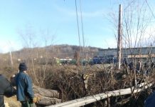 Dezastru provocat de o plută la Motru! Locomotivă a ELCFU, ținută câteva ore pe șine