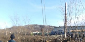 Dezastru provocat de o plută la Motru! Locomotivă a ELCFU, ținută câteva ore pe șine