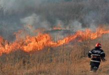 13 incendii de vegetație uscată, în plină iarnă