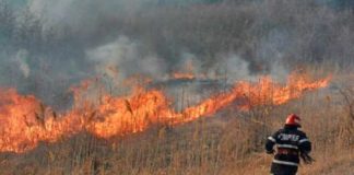 13 incendii de vegetație uscată, în plină iarnă