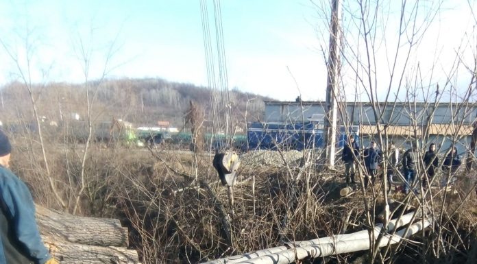 Foto: O plută a căzut peste malul pârâului Ploștina! Unități CEO, fără curent, municipiului lăsat fără apă