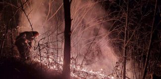 30 de incendii de vegetație uscată, în cinci zile