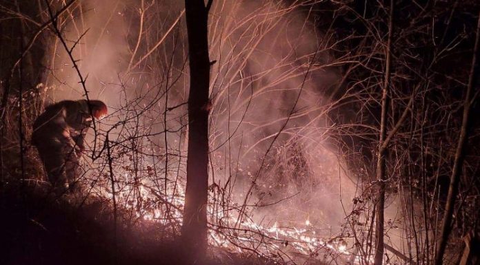30 de incendii de vegetație uscată, în cinci zile