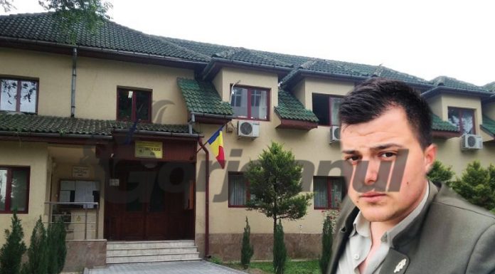Un pădurar acuză: Șefii Direcției Silvice Gorj, complicități pe ,,barosăneală”!