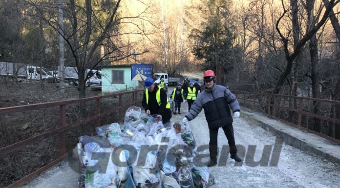 Curățenie generală pe Jiu, după 12 ani!