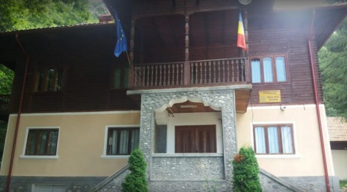 De 7 ani, anchetatorii închid ochii! – Un pădurar și un tehnician al Ocolului Silvic Polovragi, cercetați de procurori pentru abuz în serviciu, fals, uz de fals, șantaj! Puneau lemnele furate, în cârca unor bătrâni