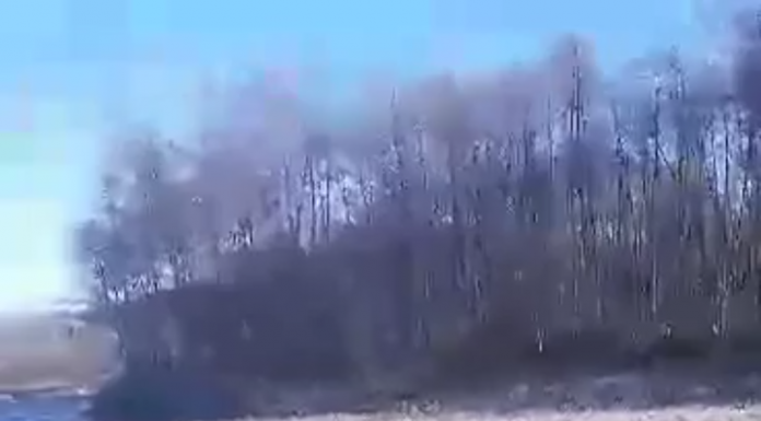 FOTO: Doi tineri s-au aruncat în Gilort ca să scoată crucea de Bobotează, la Bengești-Ciocadia