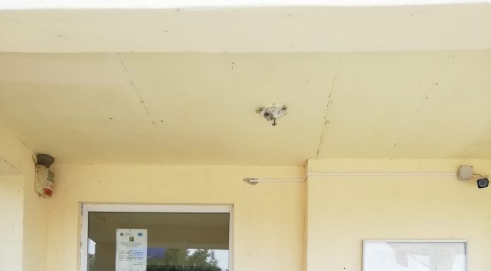 Voicu Teodor – dascălul excepțional de ATUNCI și de ACUM al Școlii Gimnaziale Nr. 1 Albeni