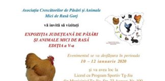 O nouă expoziţie de păsări şi animale mici, la Târgu-Jiu