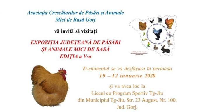Mâine, expoziţie de păsări şi animale mici, la Târgu Jiu