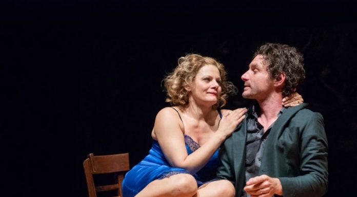 Spectacol de familie şi din viaţa de zi cu zi, la Teatrul „Elvira Godeanu”