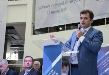 Fost deputat de Gorj, funcție în PMP