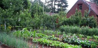 Agricultura pe înțelesul tuturor – Să ne protejăm ecologic grădina, casa