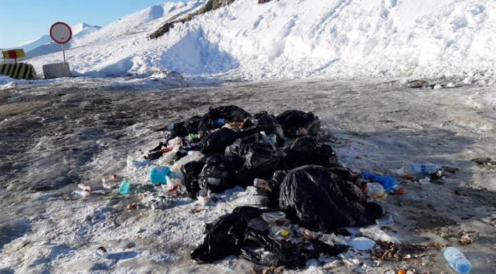 Berceanu: Gunoaiele, gestionate de crima organizată! Cine ar putea ajunge la puşcărie!