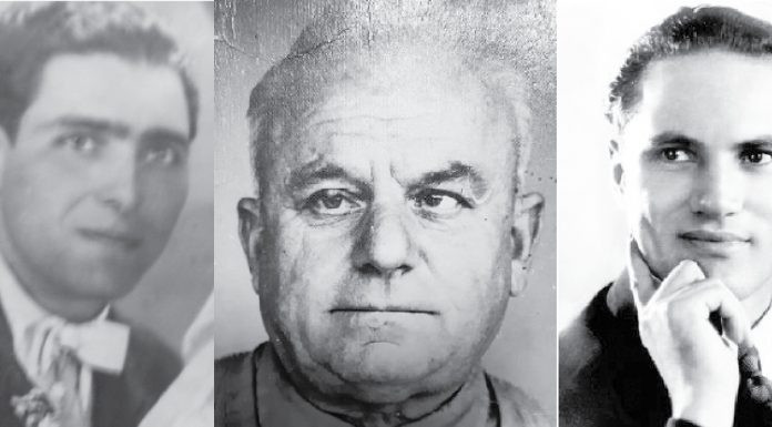 Ionel Mihu, Ion Avram (Iulică) din Aninoasa și Ion Luican