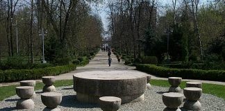 Starea culturii din Gorj va fi dezbătută marţi