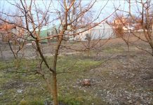 Să ne protejăm ecologic grădina, casa 5 – Materiale ecologice, homeopate