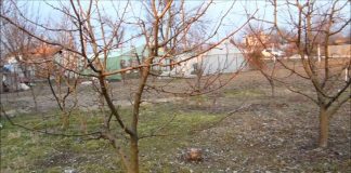 Să ne protejăm ecologic grădina, casa 5 – Materiale ecologice, homeopate