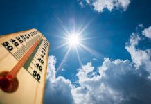 Temperaturi de 15 grade la sfârșit de ianuarie!