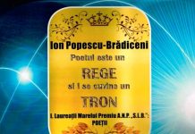 Cronica literară – Serile la Brădiceni concentrate într-o carte-proiect sub semn inaugural