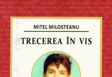 O (meta) şi o (trans)po(i)eticitate avant-la-lettre a lui Mitel Milosteanu