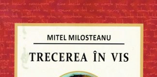 O (meta) şi o (trans)po(i)eticitate avant-la-lettre a lui Mitel Milosteanu