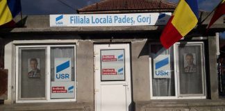 USR Padeș merge pe mâna lui Pleșu, președintele unui ONG, pentru funcția de primar