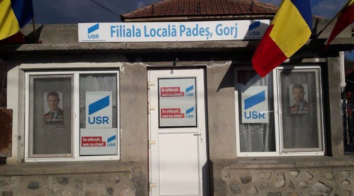 USR Padeș merge pe mâna lui Pleșu, președintele unui ONG, pentru funcția de primar