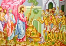 Lumina, şi Adevărul, şi Viaţa – Dumnezeu ştie că dacă păcatul ne face leproşi, El are cuvântul mai puternic decât lepra, fie trupească fie sufletească!