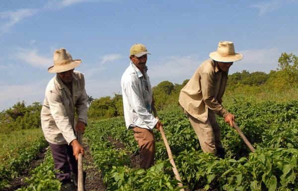 Zilierii, înregistraţi printr-o aplicaţie mobilă!