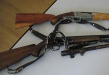 Două arme și zeci de cartușe, confiscate de la doi bărbați din Căpreni