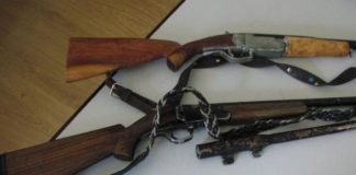 Două arme și zeci de cartușe, confiscate de la doi bărbați din Căpreni