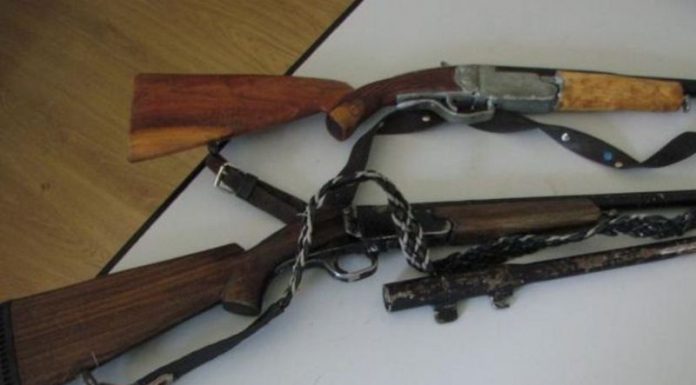Două arme și zeci de cartușe, confiscate de la doi bărbați din Căpreni