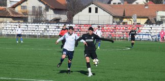 Succes, la scor, pentru panduri