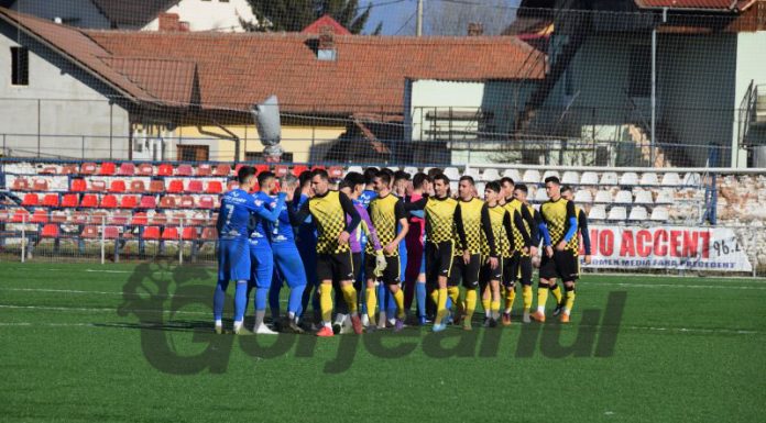 Ziua Z pentru panduri!