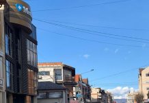 Soția fostului manager al SJU Târgu-Jiu, Gigel Capotă, rănită într-un accident rutier