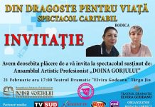 Spectacol caritabil, la Târgu Jiu, pe 21 februarie