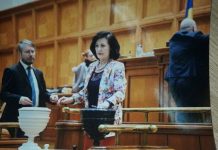 Cum explică deputatul Elvira Șarapatin moțiunea de cenzură?