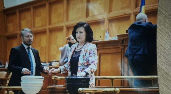 Cum explică deputatul Elvira Șarapatin moțiunea de cenzură?