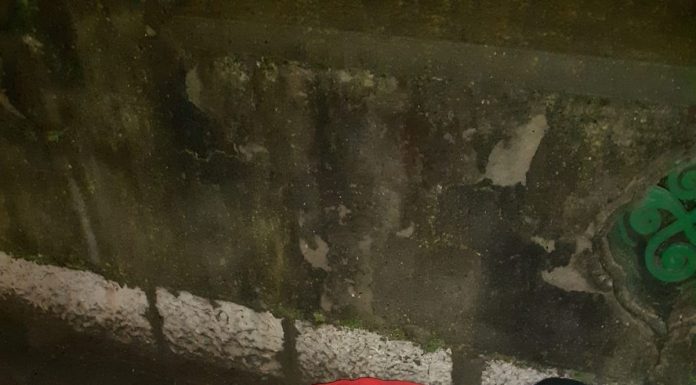 Ajutaţi de agenţii de la Locală